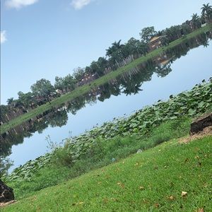 Meet your Posher, Rommel